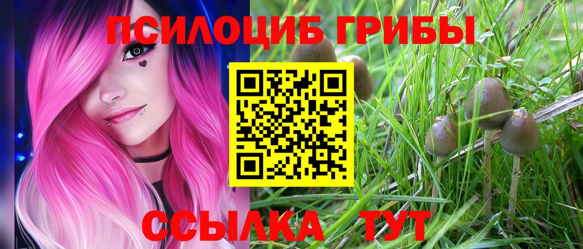 Галлюциногенные грибы Psilocybe  Псилоцибиновые грибы Cubensis  Кудрово  Вход с VPN 