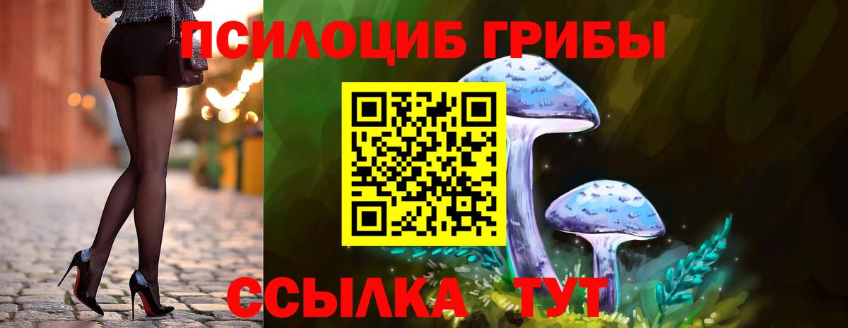 Псилоцибиновые грибы мицелий Кудрово